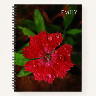 Red Dianthus Flower & Raindrops Photo, aangepaste  Notitieboek