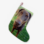 Red doberman kleine kerstsok (Voorkant (Hangend))