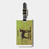 Red_doberman_love w pic bagagelabel (Voorkant verticaal)