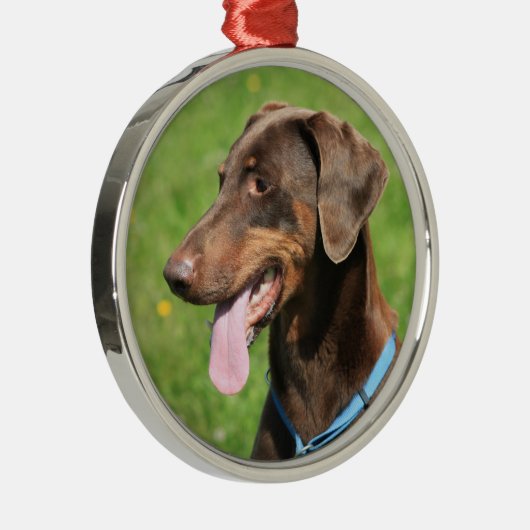 Red doberman metalen ornament (Rechts)