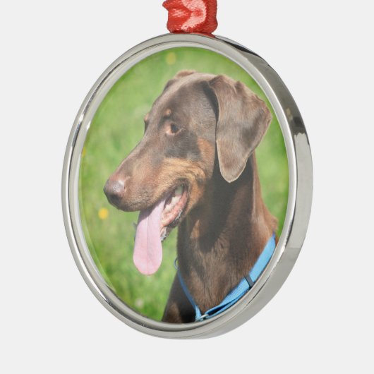 Red doberman metalen ornament (Links)