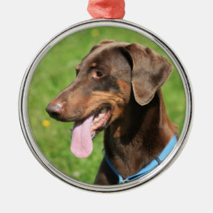 Red doberman metalen ornament