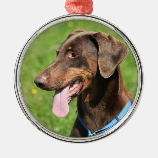 Red doberman metalen ornament (Voorkant)