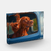 Red Dog Genieten van Schilderachtig Car Ride Art P Fotoblokken (Links)