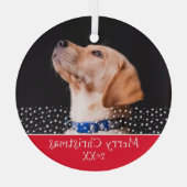 Red Dog Pet met kerstfeestdag Glas Ornament (Achterkant)