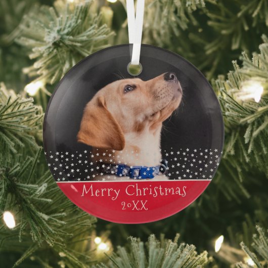 Red Dog Pet met kerstfeestdag Glas Ornament (Insitu)