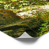 Red Dogwood Poster (Hoek)