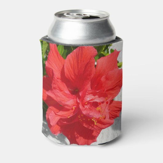 Red Double Hibiscus Flower Blikjeskoeler (Blikje Achterkant)