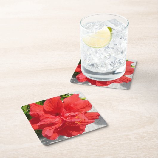 Red Double Hibiscus Flower Kartonnen Onderzetters (Insitu)