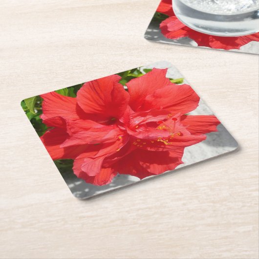 Red Double Hibiscus Flower Kartonnen Onderzetters (Schuin)