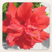 Red Double Hibiscus Flower Kartonnen Onderzetters (Voorkant)