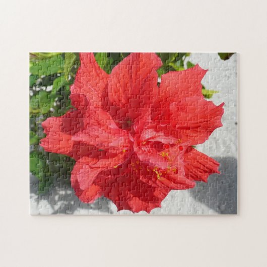 Red Double Hibiscus Flower Legpuzzel (Horizontaal)