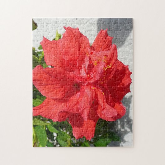 Red Double Hibiscus Flower Legpuzzel (Verticaal)