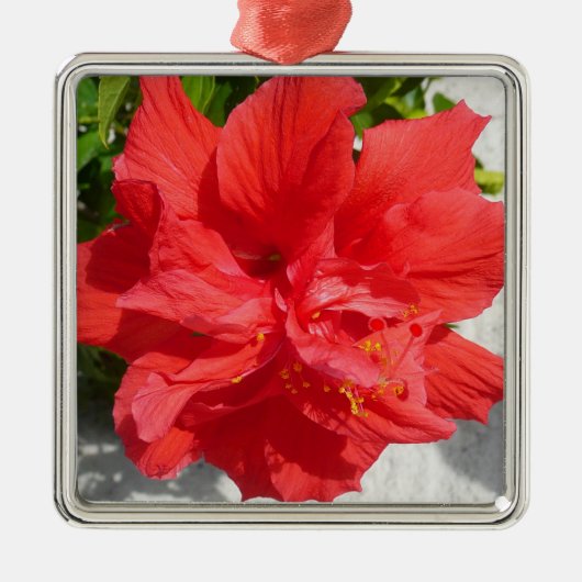 Red Double Hibiscus Flower Metalen Ornament (Voorkant)