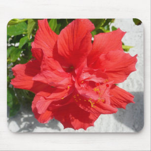 Red Double Hibiscus Flower Muismat