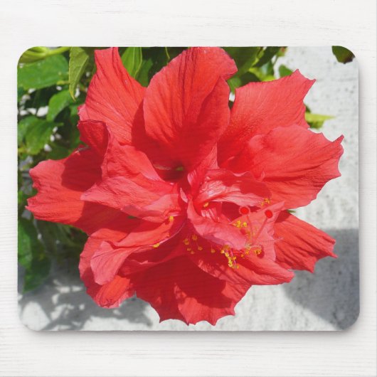 Red Double Hibiscus Flower Muismat (Voorkant)