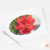 Red Double Hibiscus Flower Ovale Sticker (Envelop)