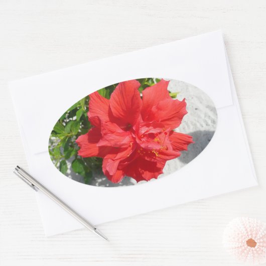 Red Double Hibiscus Flower Ovale Sticker (Envelop)