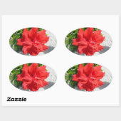 Red Double Hibiscus Flower Ovale Sticker (Vel)