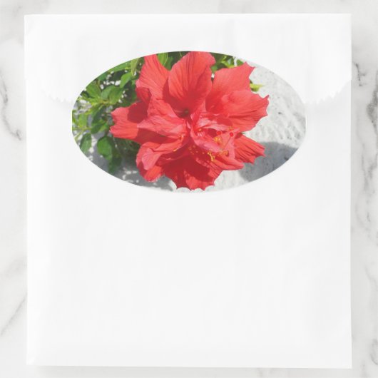 Red Double Hibiscus Flower Ovale Sticker (Tas)