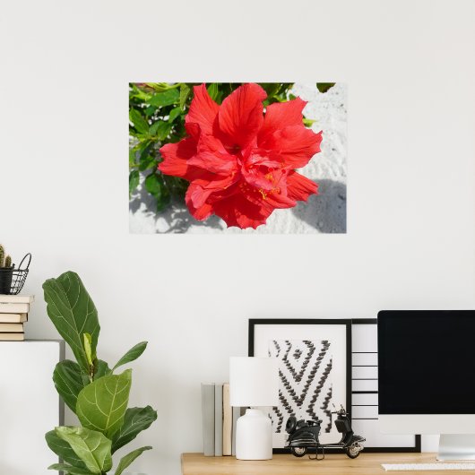 Red Double Hibiscus Flower Poster (Thuiskantoor)