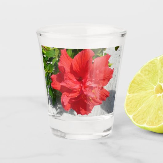 Red Double Hibiscus Flower Shot Glas (Voorkant)