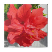 Red Double Hibiscus Flower Tegeltje (Voorkant)