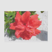 Red Double Hibiscus Flower Tissuepapier (Voorkant)