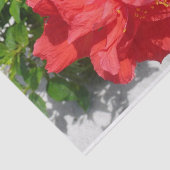 Red Double Hibiscus Flower Tissuepapier (Detail)