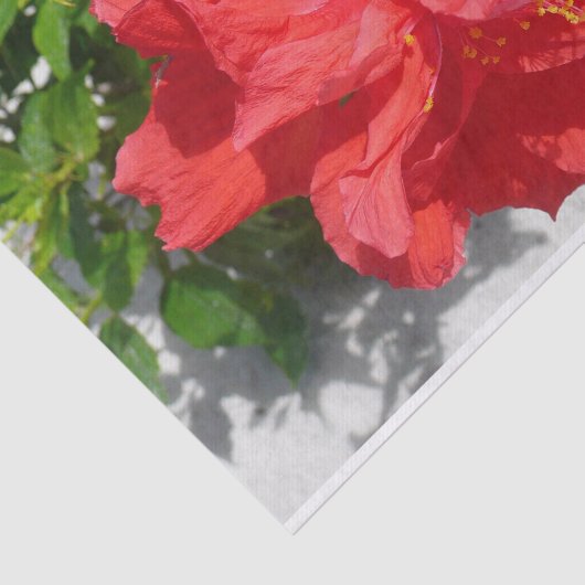 Red Double Hibiscus Flower Tissuepapier (Detail)