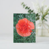 Red Double Poppy Floral Briefkaart (Staand voorkant)