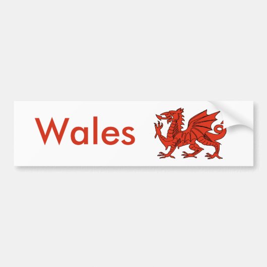 Red Dragon Bumpersticker (Voorkant)