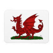 Red Dragon van Wales Magneet (Horizontaal)