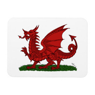 Red Dragon van Wales Magneet