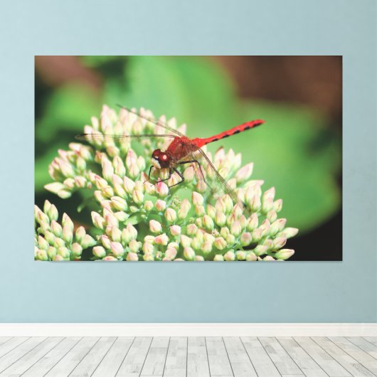 Red Dragonfly Floral Canvas Afdruk (Insitu (Houten vloer))