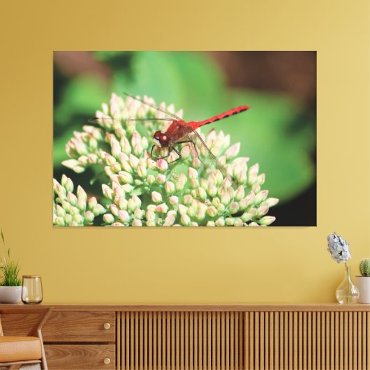 Red Dragonfly Floral Canvas Afdruk (Insitu (Woonkamer))