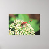 Red Dragonfly Floral Canvas Afdruk (Voorkant)