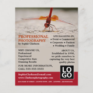 Red Dragonfly, Fotografie, Fotografe hire Flyer