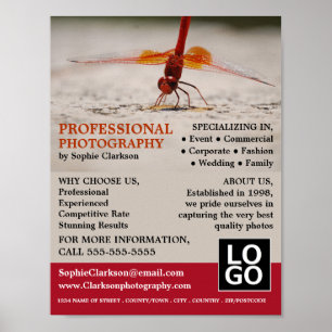 Red Dragonfly, Fotografie, Fotografe hire Poster