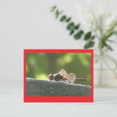 Red Dragonfly in de zon DIY Briefkaart (Staand voorkant)