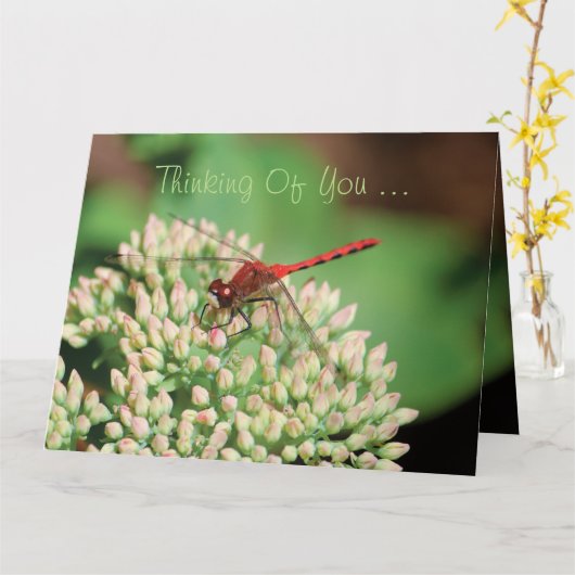 Red Dragonfly Notecard Kaart (Gele Bloem)