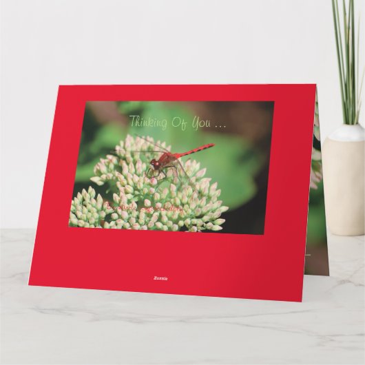 Red Dragonfly Notecard Kaart (Achterkant)