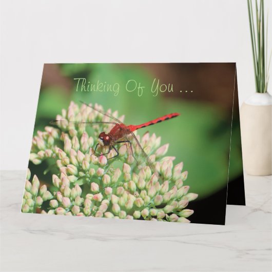 Red Dragonfly Notecard Kaart (Voorkant)