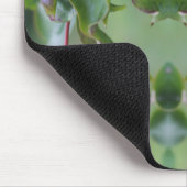 Red Dragonfly on Dogwood Fruit Personated Muismat (Hoek)