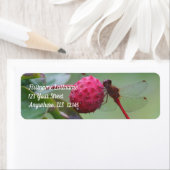 Red Dragonfly op Dogwood Fruit Address Etiket (Insitu)