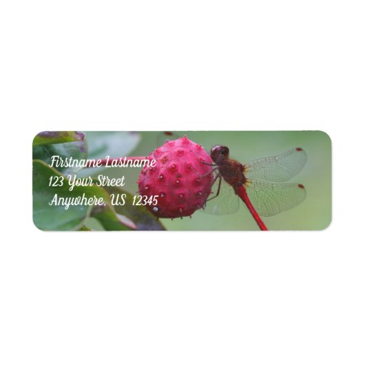 Red Dragonfly op Dogwood Fruit Address Etiket (Voorkant)