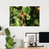 Red Dragonfly Poster (Thuiskantoor)