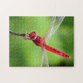 Red Dragonfly Puzzle Green Background Legpuzzel (Horizontaal)