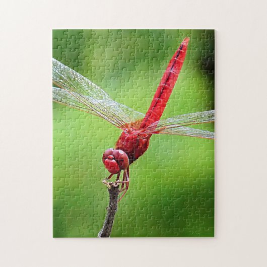 Red Dragonfly Puzzle Green Background Legpuzzel (Verticaal)