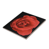 Red Drama Roos Tegeltje (Zijkant)